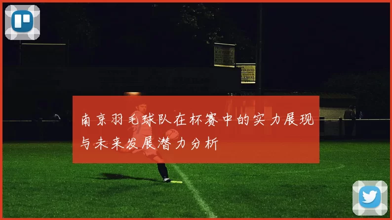 南京羽毛球队在杯赛中的实力展现与未来发展潜力分析