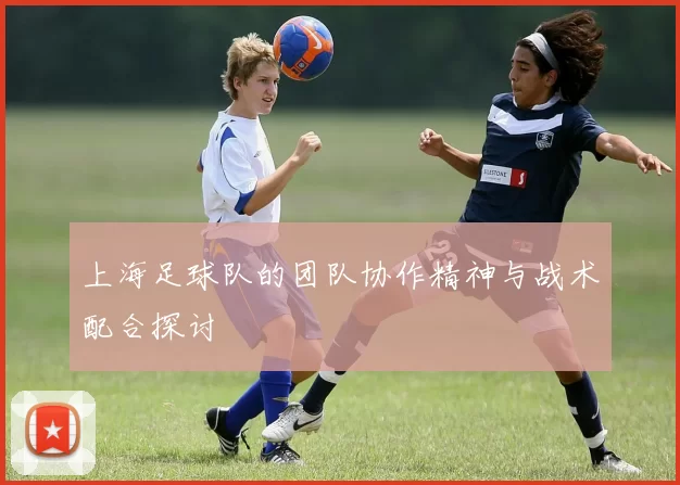 上海足球队的团队协作精神与战术配合探讨