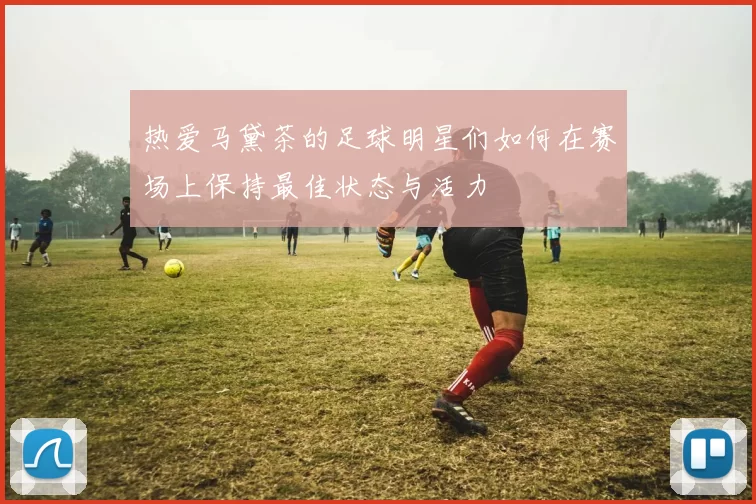 热爱马黛茶的足球明星们如何在赛场上保持最佳状态与活力