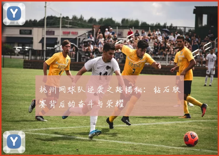杭州网球队逆袭之路揭秘：钻石联赛背后的奋斗与荣耀