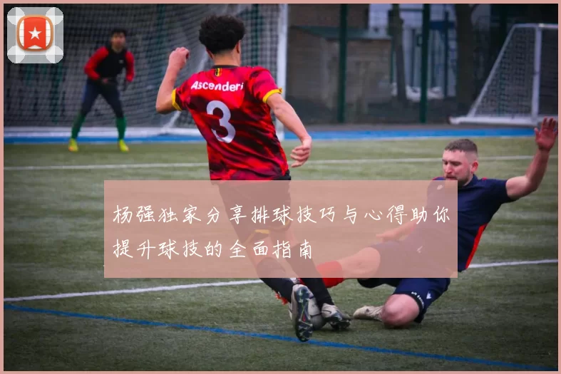 杨强独家分享排球技巧与心得助你提升球技的全面指南