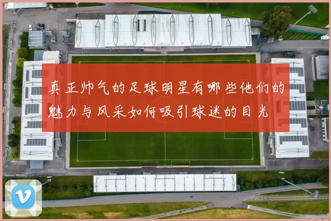 真正帅气的足球明星有哪些他们的魅力与风采如何吸引球迷的目光