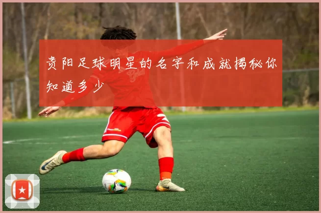 贵阳足球明星的名字和成就揭秘你知道多少