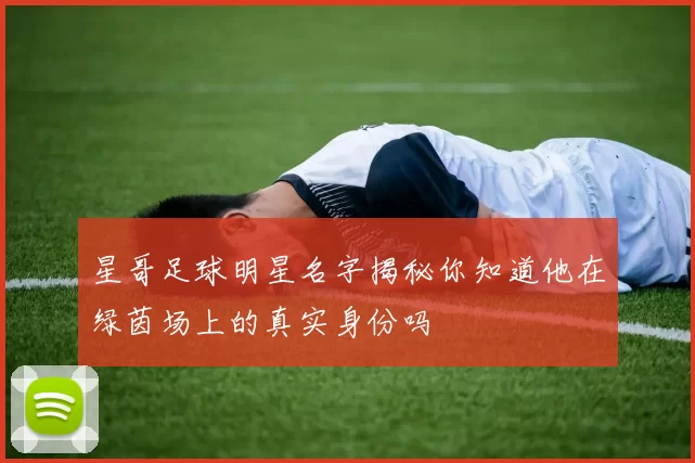 星哥足球明星名字揭秘你知道他在绿茵场上的真实身份吗
