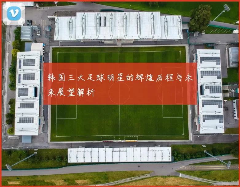 韩国三大足球明星的辉煌历程与未来展望解析