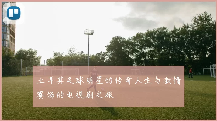 土耳其足球明星的传奇人生与激情赛场的电视剧之旅