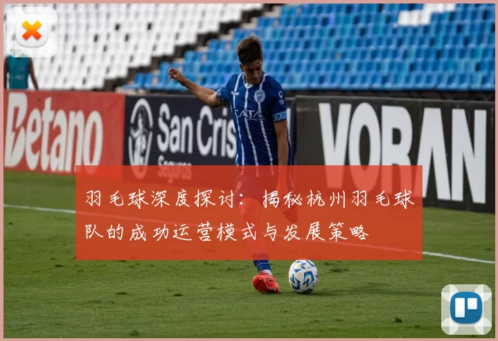 羽毛球深度探讨：揭秘杭州羽毛球队的成功运营模式与发展策略