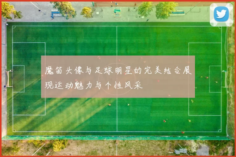 魔笛头像与足球明星的完美结合展现运动魅力与个性风采