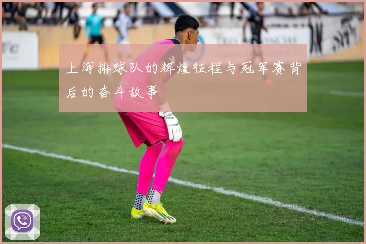 上海排球队的辉煌征程与冠军赛背后的奋斗故事