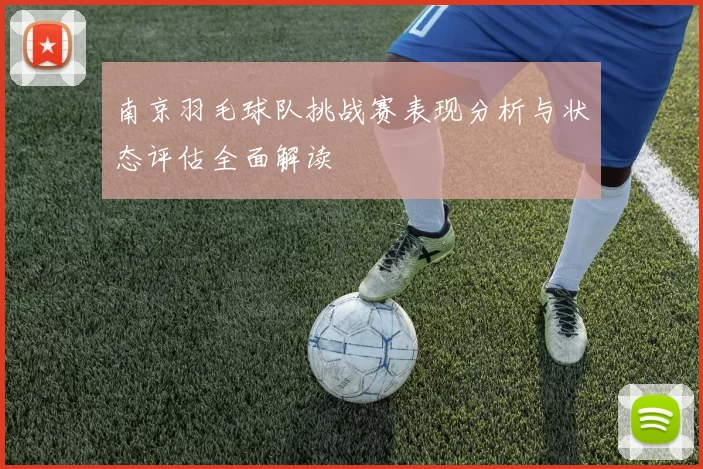 南京羽毛球队挑战赛表现分析与状态评估全面解读