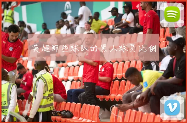 英超那些球队的黑人球员比例