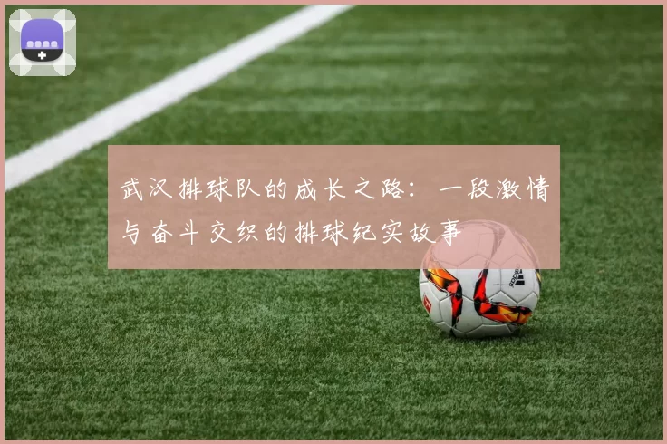 武汉排球队的成长之路：一段激情与奋斗交织的排球纪实故事