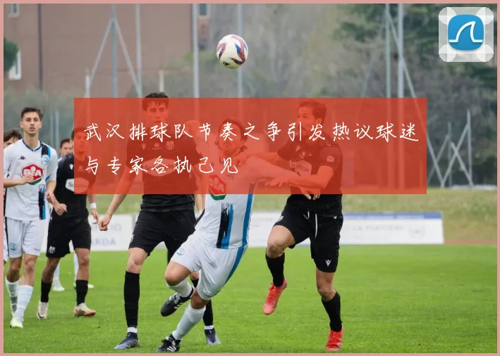 武汉排球队节奏之争引发热议球迷与专家各执己见
