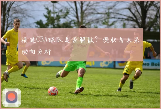 福建CBA球队是否解散？现状与未来动向分析