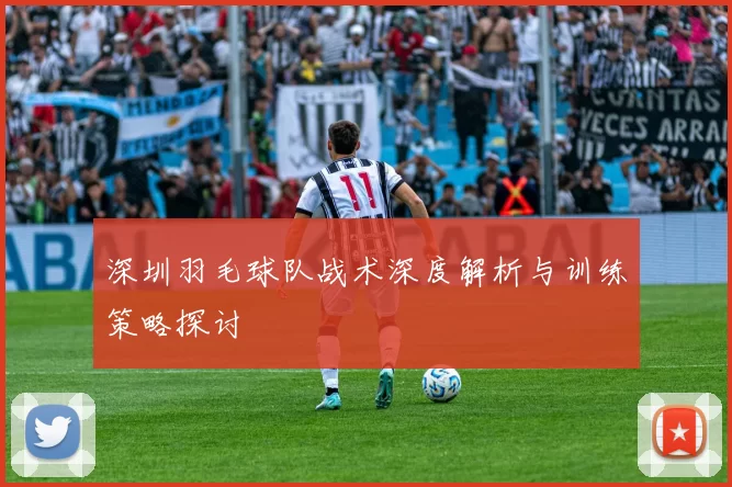 深圳羽毛球队战术深度解析与训练策略探讨