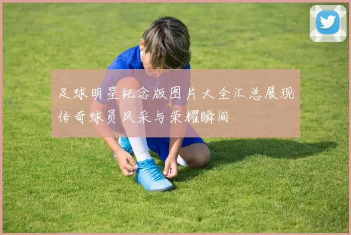 足球明星纪念版图片大全汇总展现传奇球员风采与荣耀瞬间
