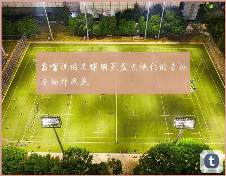 靠嘴说的足球明星盘点他们的言论与场外风采