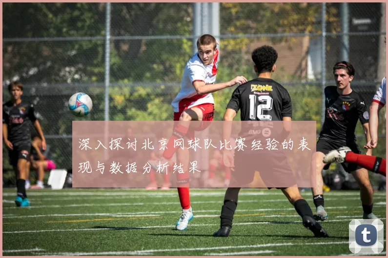 深入探讨北京网球队比赛经验的表现与数据分析结果
