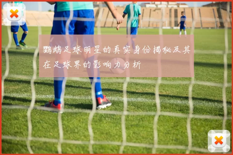 鹦鹉足球明星的真实身份揭秘及其在足球界的影响力分析