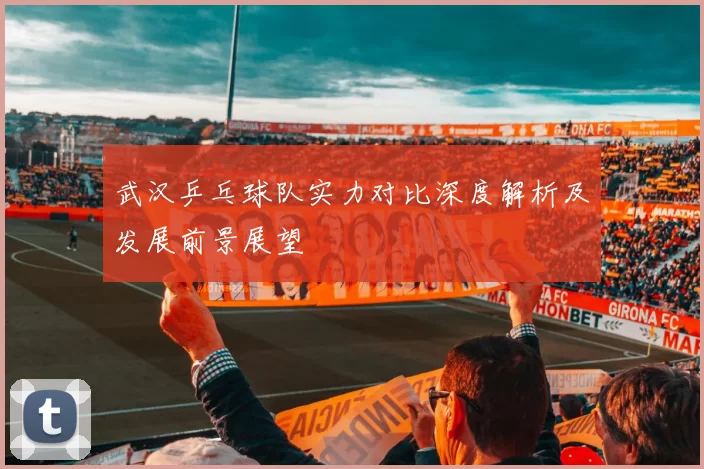 武汉乒乓球队实力对比深度解析及发展前景展望
