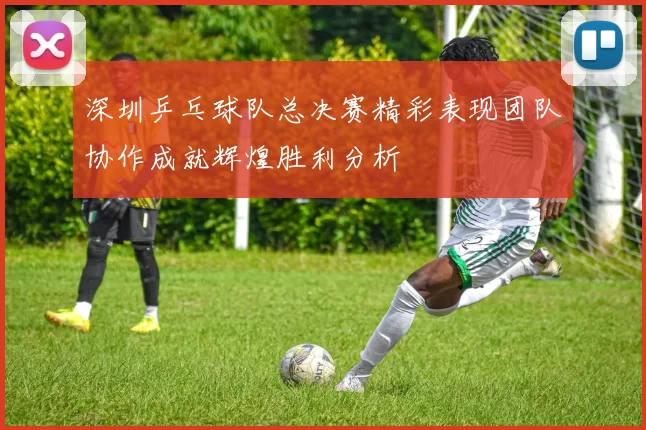 深圳乒乓球队总决赛精彩表现团队协作成就辉煌胜利分析