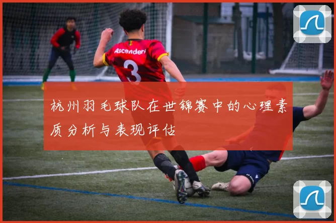 杭州羽毛球队在世锦赛中的心理素质分析与表现评估