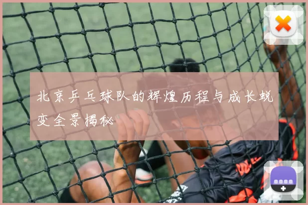 北京乒乓球队的辉煌历程与成长蜕变全景揭秘