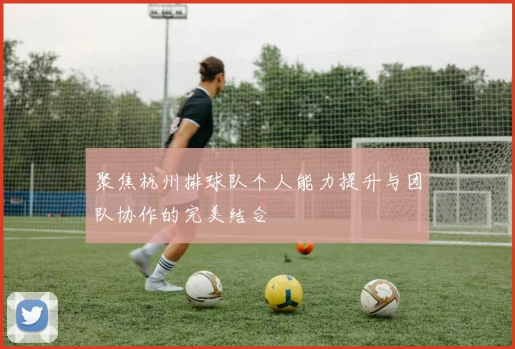 聚焦杭州排球队个人能力提升与团队协作的完美结合