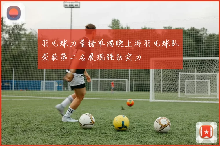羽毛球力量榜单揭晓上海羽毛球队荣获第二名展现强劲实力