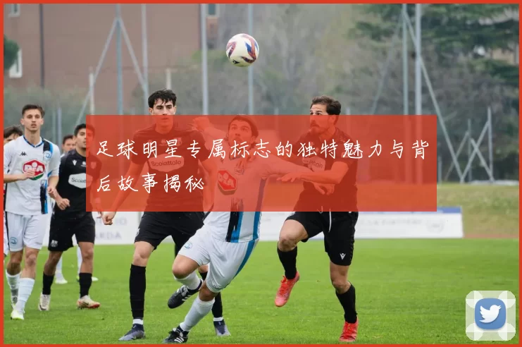 足球明星专属标志的独特魅力与背后故事揭秘