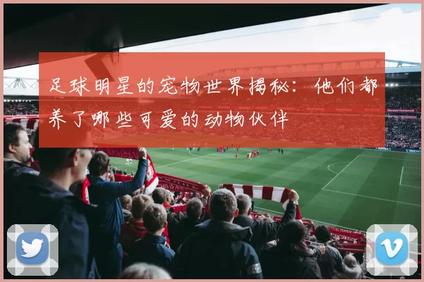 足球明星的宠物世界揭秘：他们都养了哪些可爱的动物伙伴