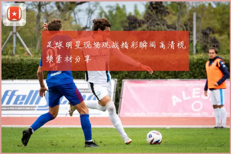 足球明星现场观战精彩瞬间高清视频素材分享