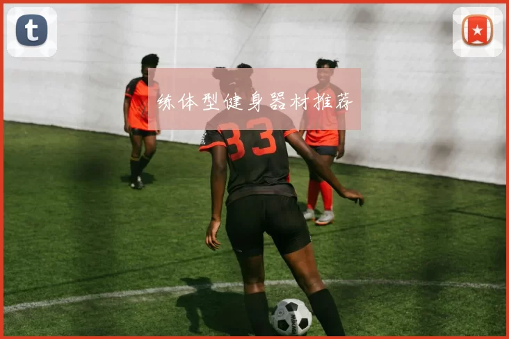 练体型健身器材推荐