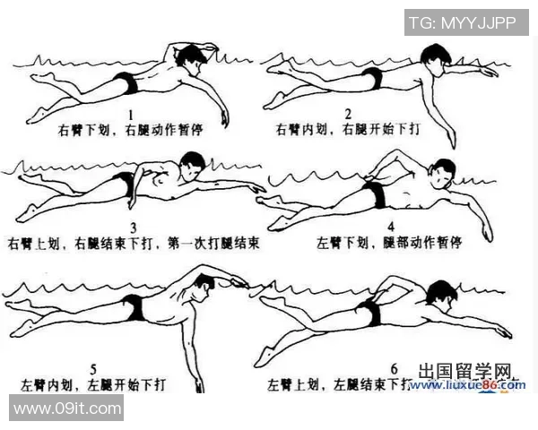 提高游泳效率的五大技巧掌握方法与训练技巧分享 提高游泳效率的五大技巧掌握方法与训练技巧分享