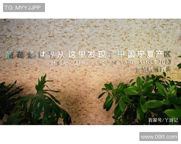 RNG战队崛起之路:从默默无闻到全球瞩目的传奇成长历程 RNG战队崛起之路:从默默无闻到全球瞩目的传奇成长历程