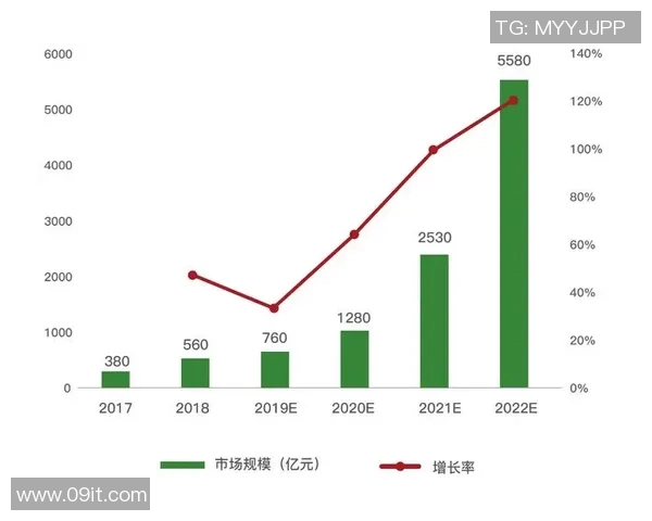 武汉乒乓球队转型之路的挑战与机遇全景观察